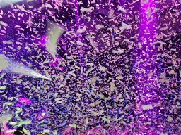 Schlagerfestival Hamburg 2024